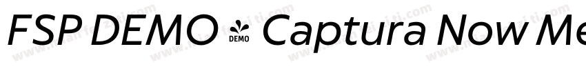 FSP DEMO - Captura Now Medium字体转换